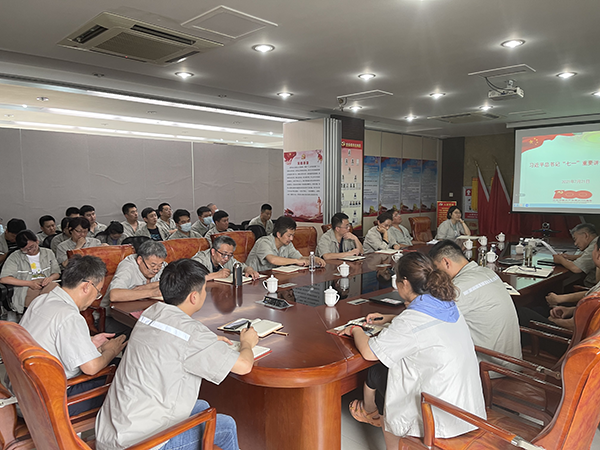 承德蘇墾銀河黨委開(kāi)展“學(xué)習(xí)習(xí)近平總書記‘七一’重要講話精神，推進(jìn)黨史學(xué)習(xí)教育”專題黨課(圖2)